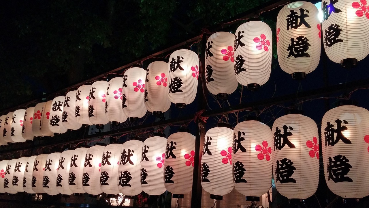 宠物市场最新动态与价格概览，宠物价格最新价格一览