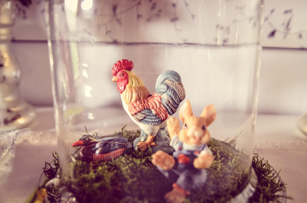 探寻鸡宝的价值与魅力，鸡宝图片及价格一览