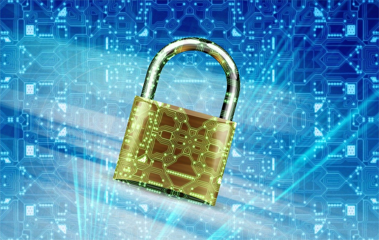 黑域新版发布全面解析，重塑用户体验与功能升级