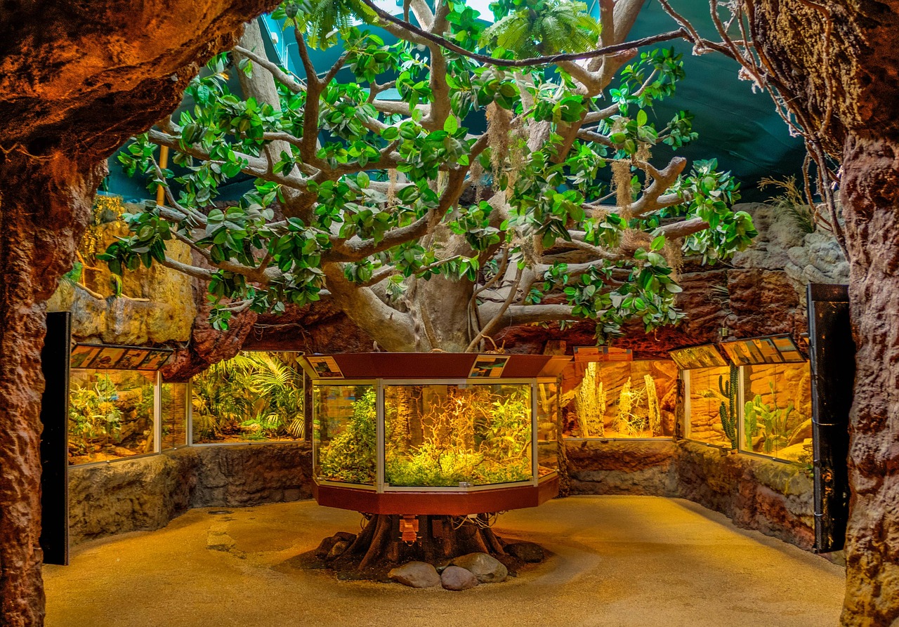 最新鱼缸材质，塑造水族世界的未来之选的首选材料
