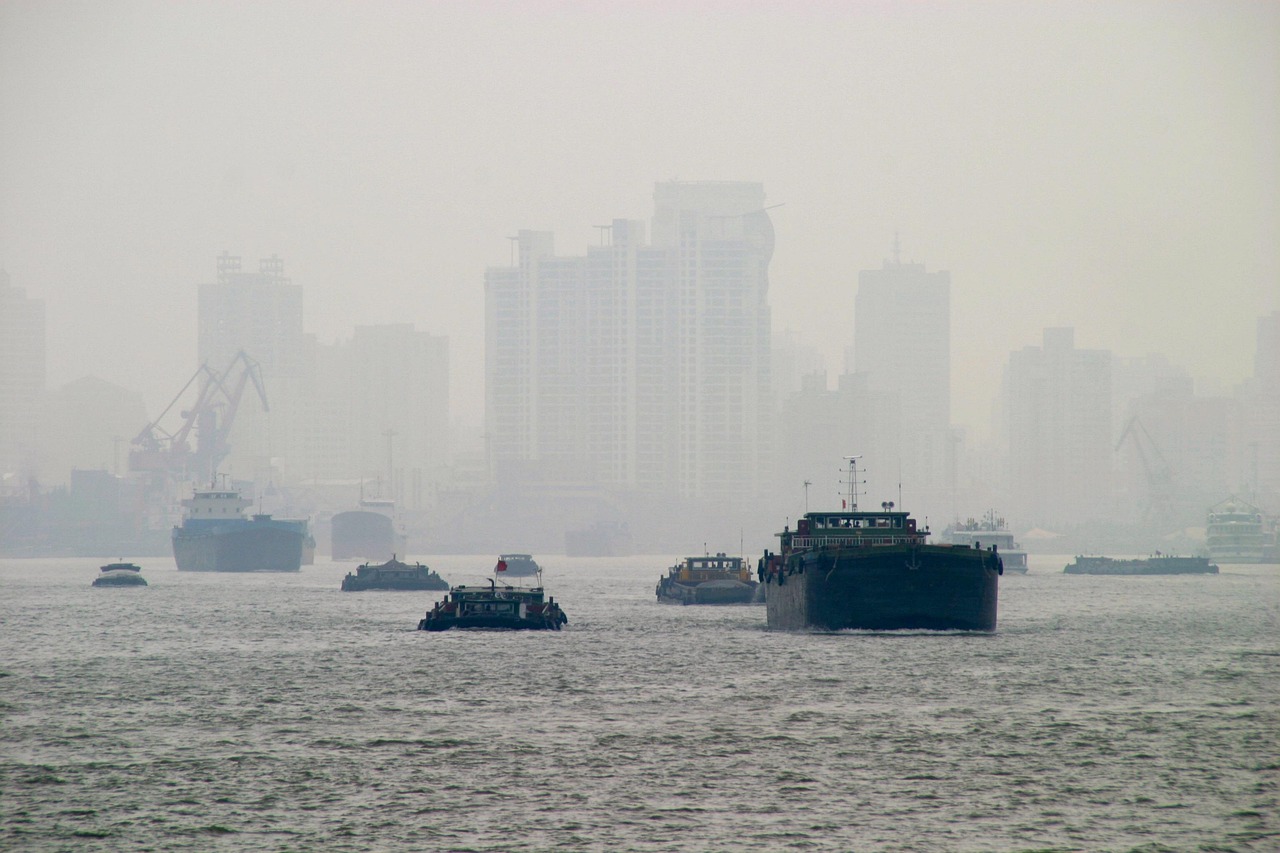 揭秘中国养猪业巨头，最大上市公司浮出水面