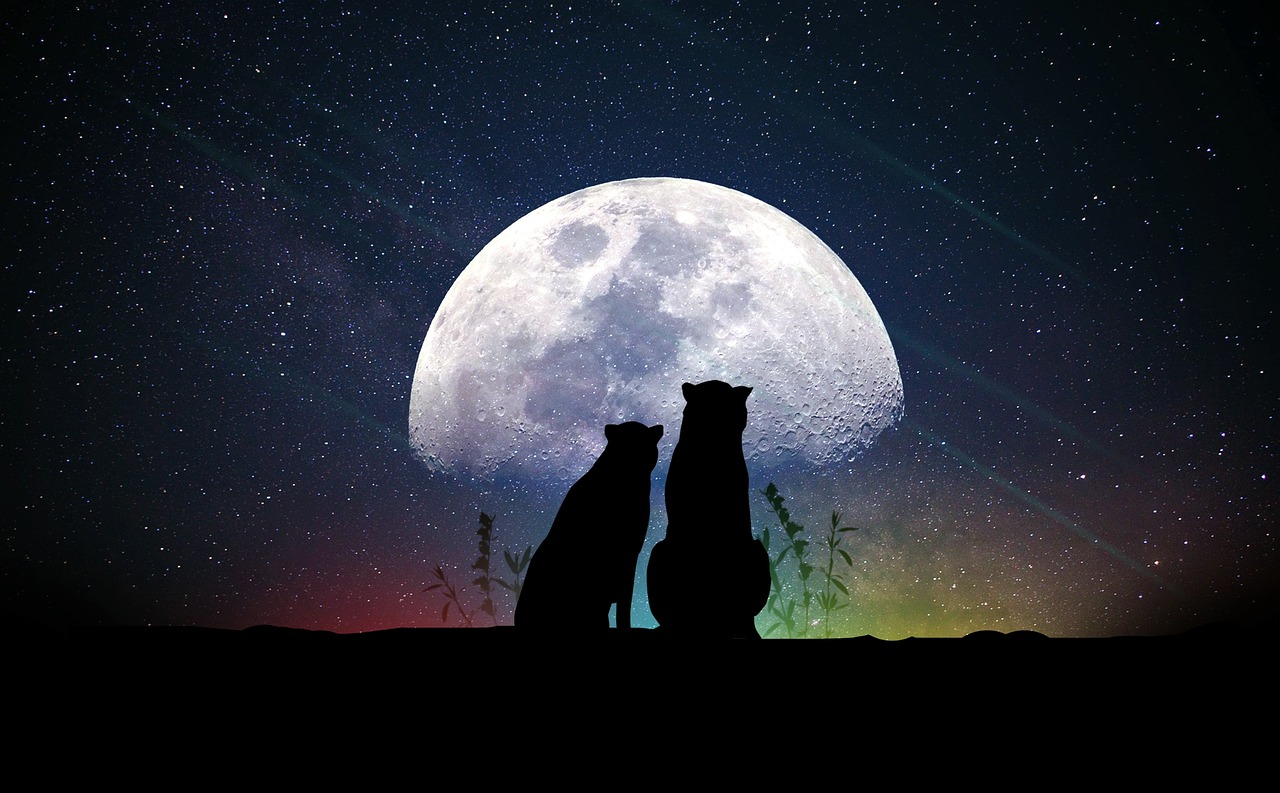 天秤座明星的闪耀世界，探索他们的璀璨人生