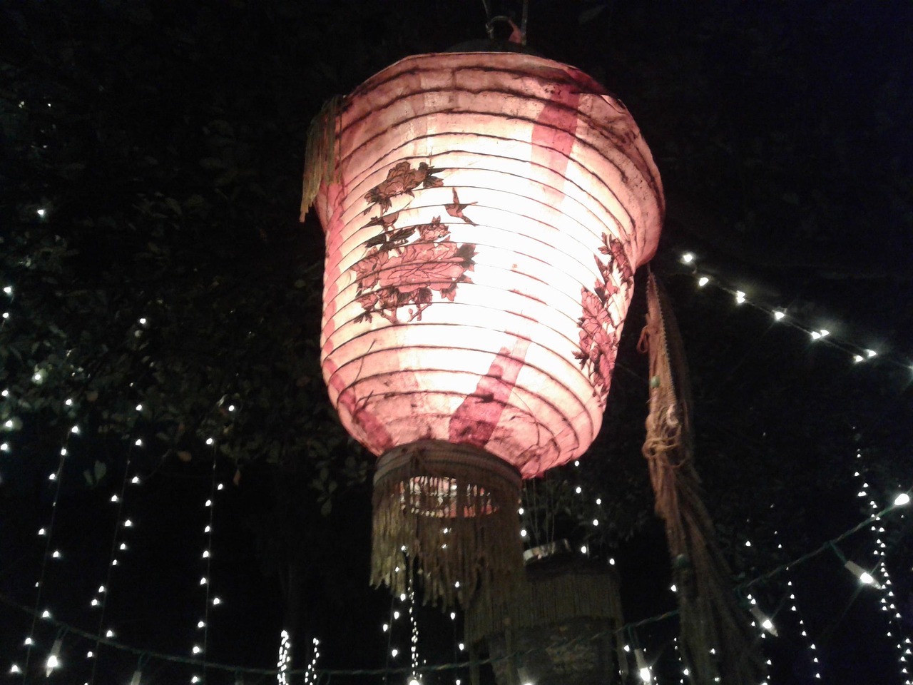 中央一台今晚节目，文化与娱乐的盛宴开启视觉盛宴之夜