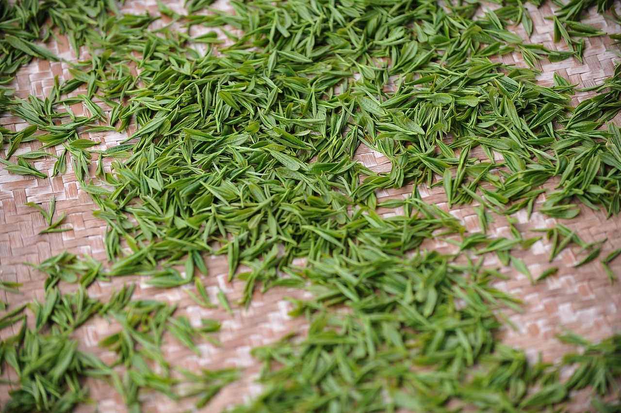 重庆茶园动态资讯，新时代茶产业蓬勃发展探寻记