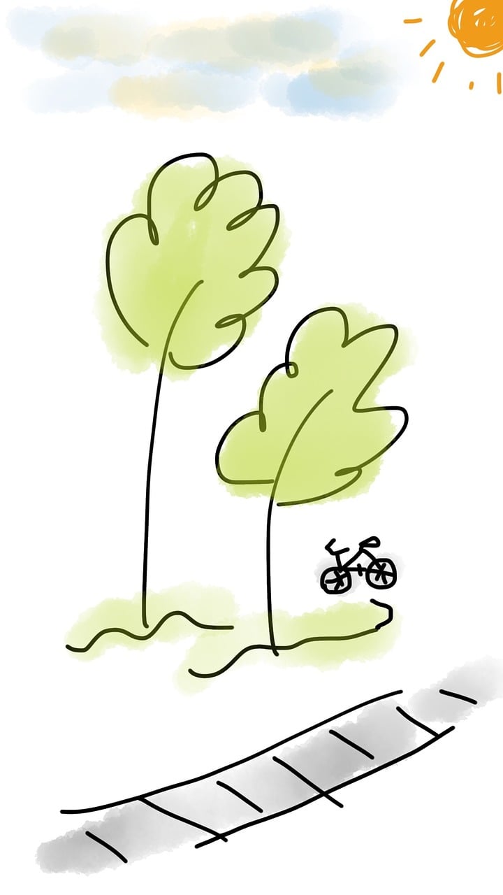 宁屿路最新资讯概览，掌握最新动态与资讯更新