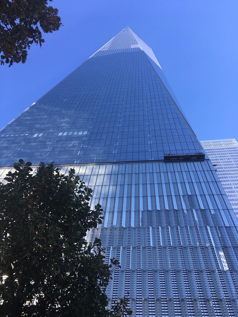 中央电视直播，连接亿万观众与世界的桥梁纽带