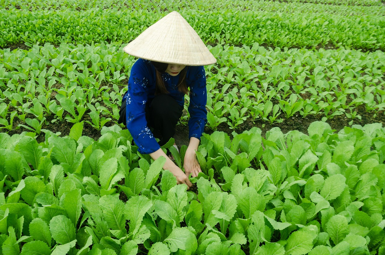 河南最新动态，蓬勃发展中的中原大地