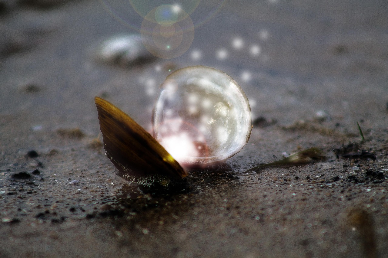 郁雨竹新作发布，探索人性深处的诗意与哲思之美