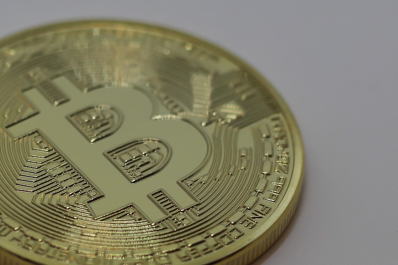 辣椒价格动态分析与趋势预测