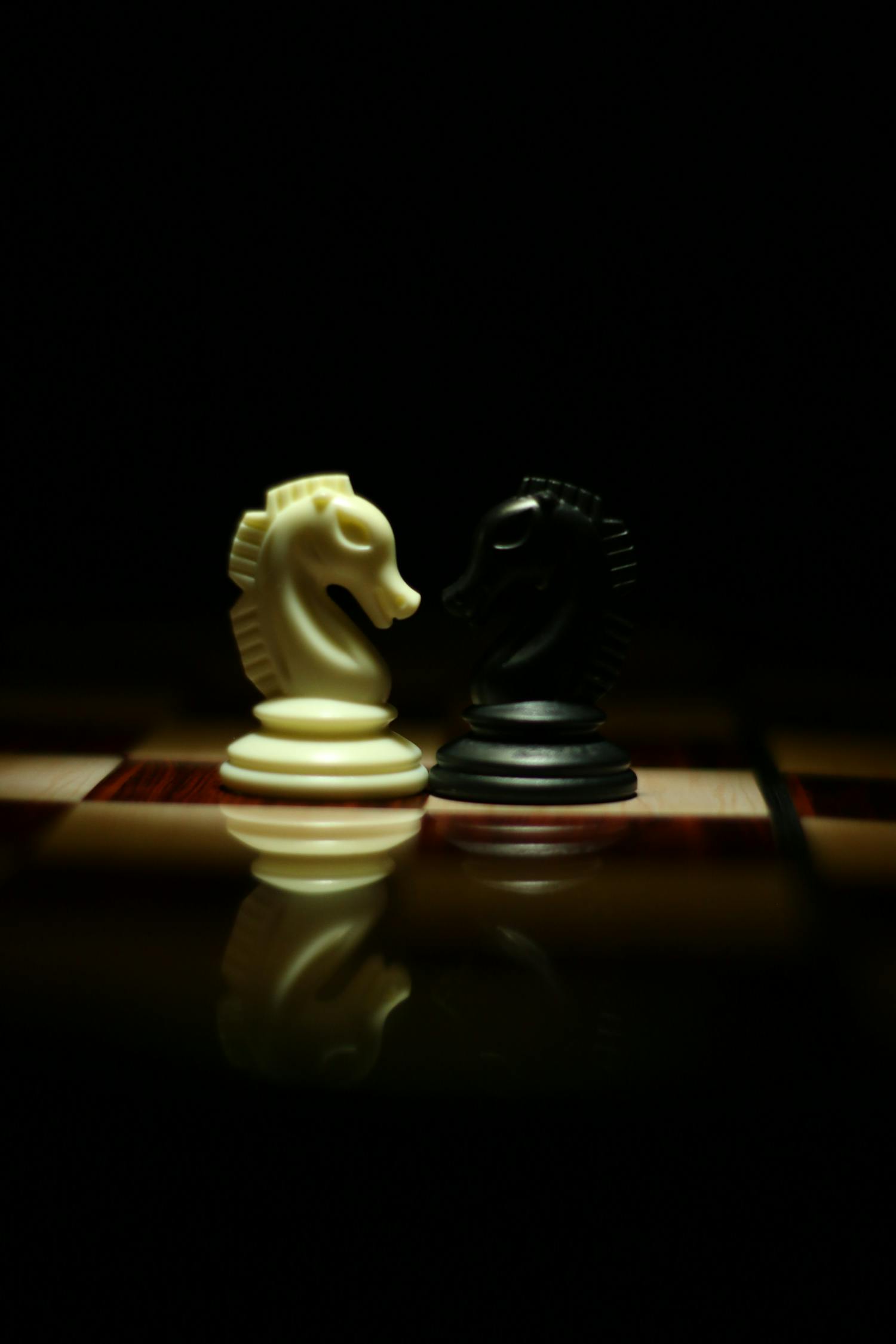合肥象棋比赛，传统智慧与策略较量的巅峰之战