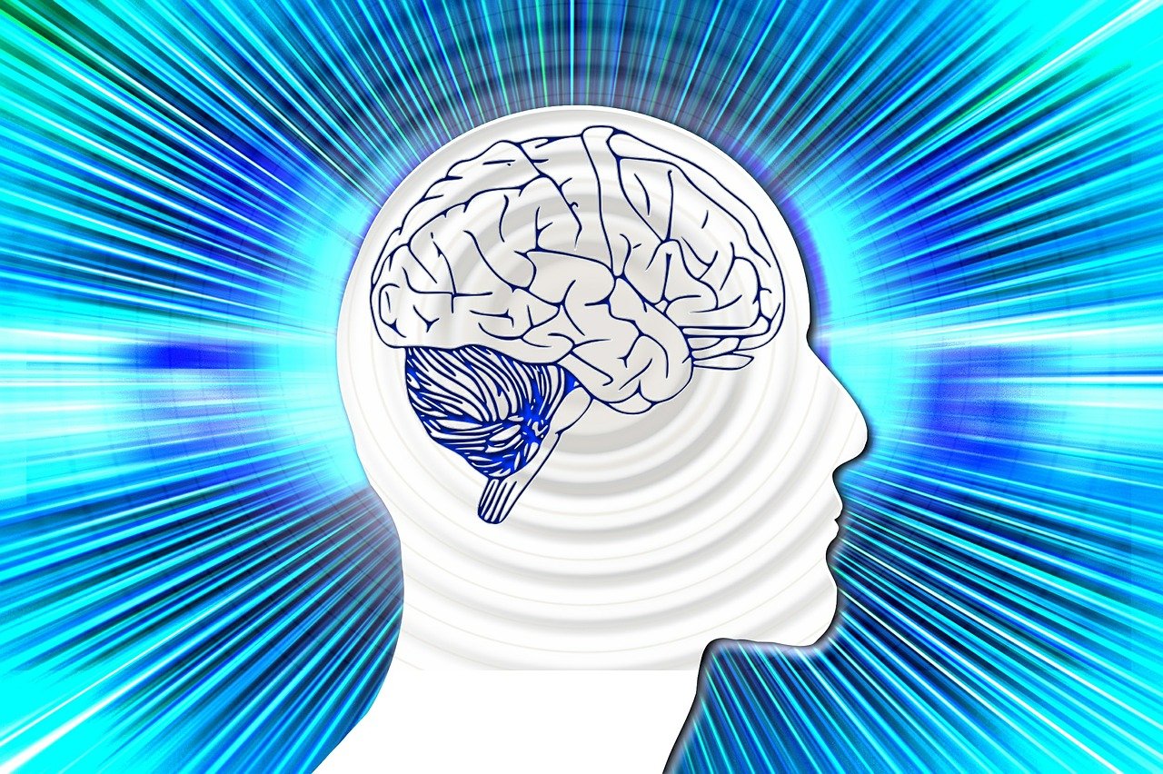 最新座位分布图，重塑空间体验与舒适度的艺术平衡之道