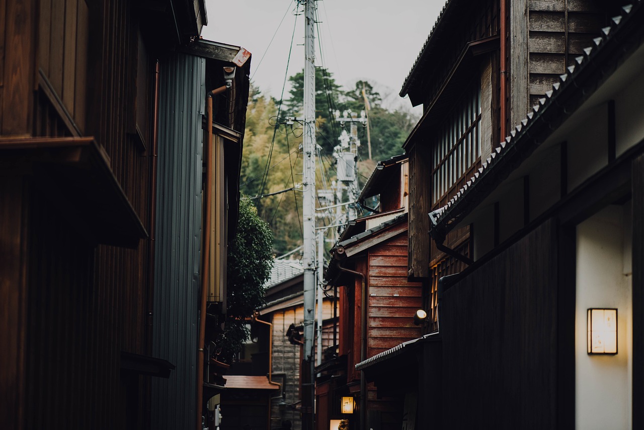 最新期货市场动态及深度分析
