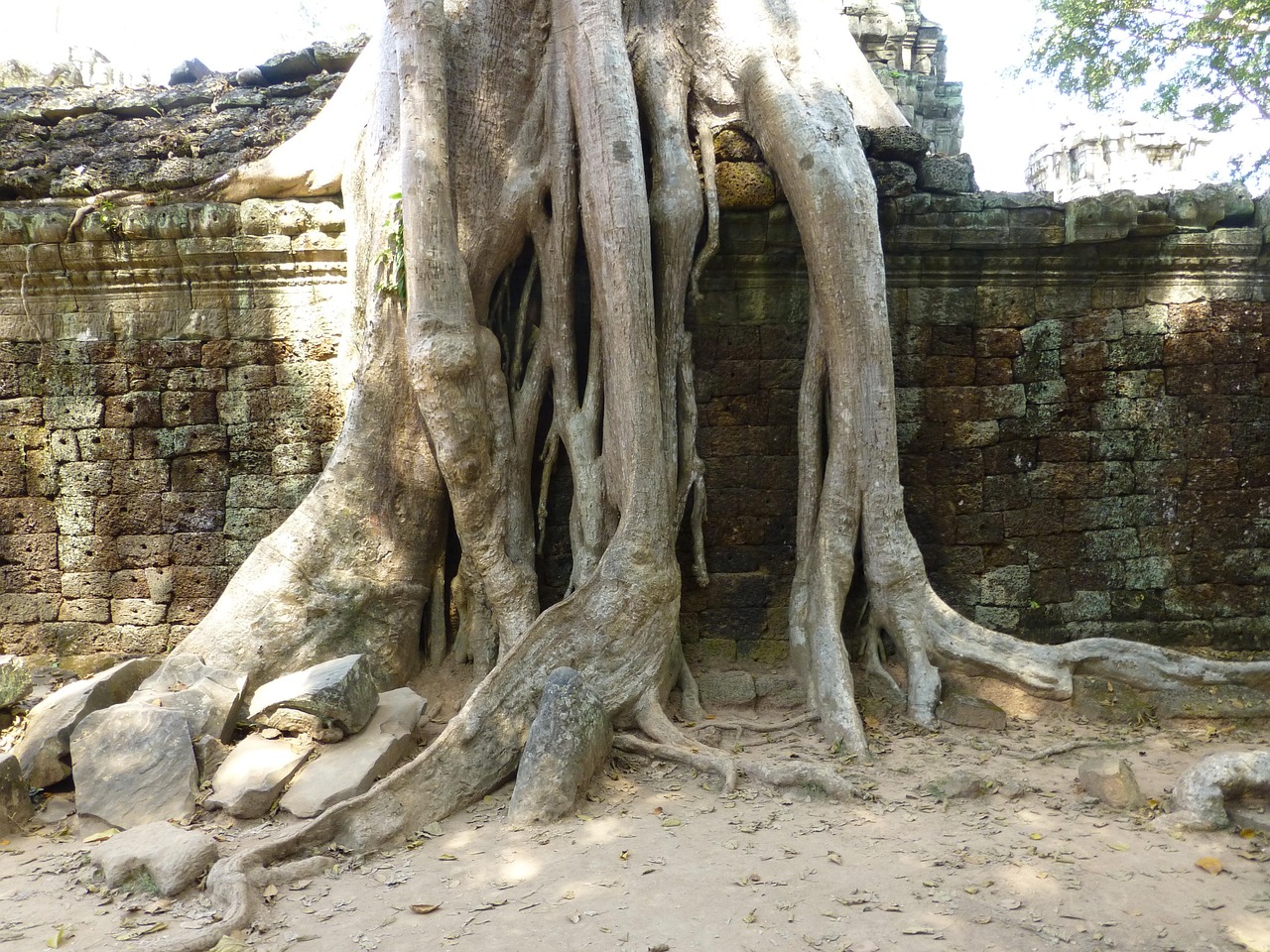 张杰音乐之旅新篇章，最新动态揭秘