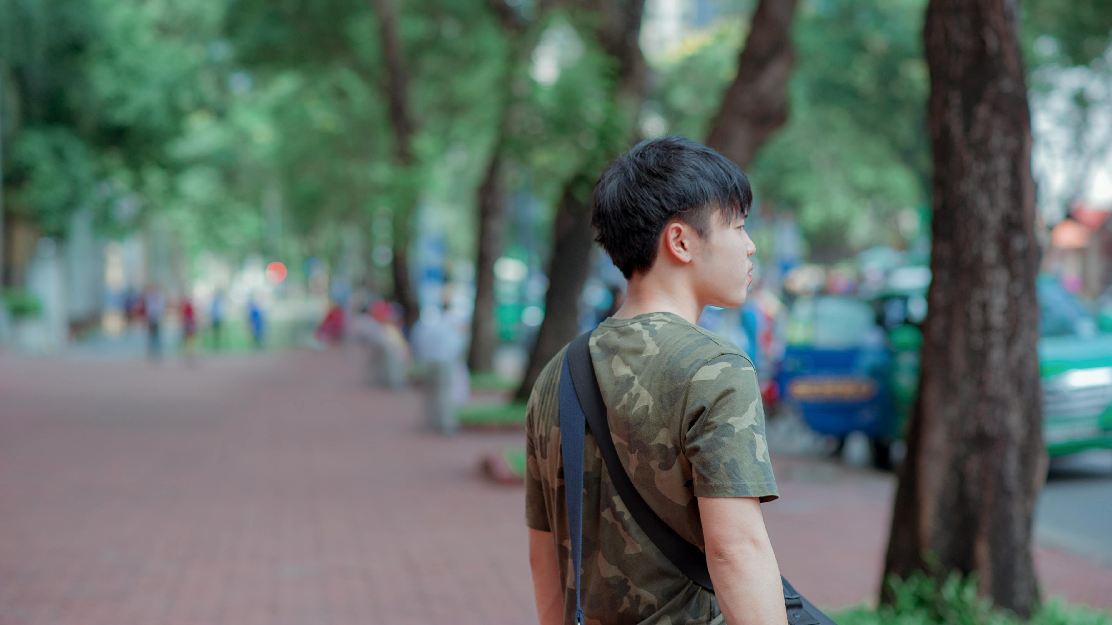 我妻子的姐姐演员表揭秘，探寻家族中的明星之光