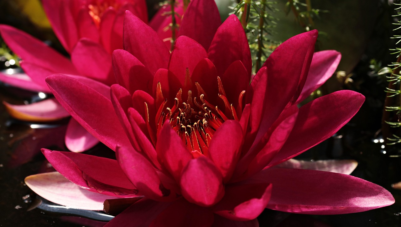 盛大油画盛宴，2017油画比赛回顾，见证艺术之花的绽放