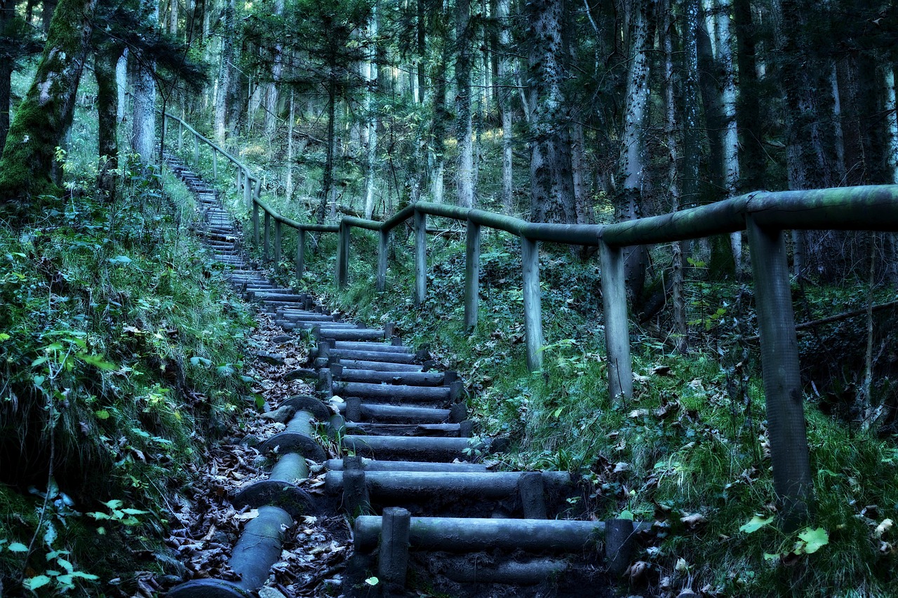 洞穴探险电影的神秘魅力与探险精神之旅