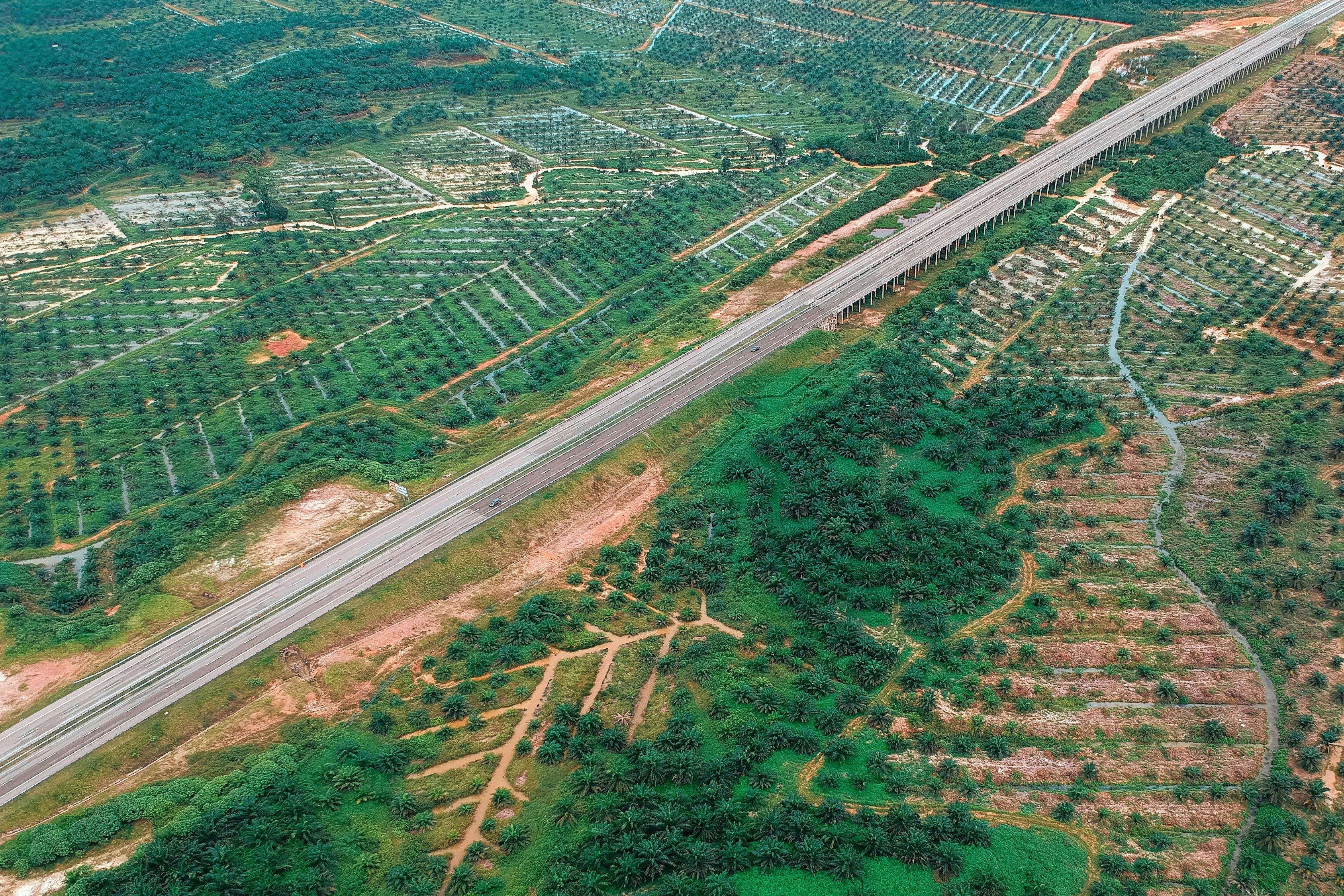 洛南高速公路最新规划详解