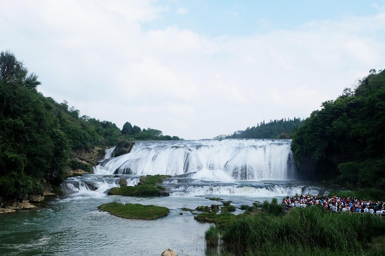 贵州百里杜鹃最新规划发布，打造世界级旅游胜地新篇章开启