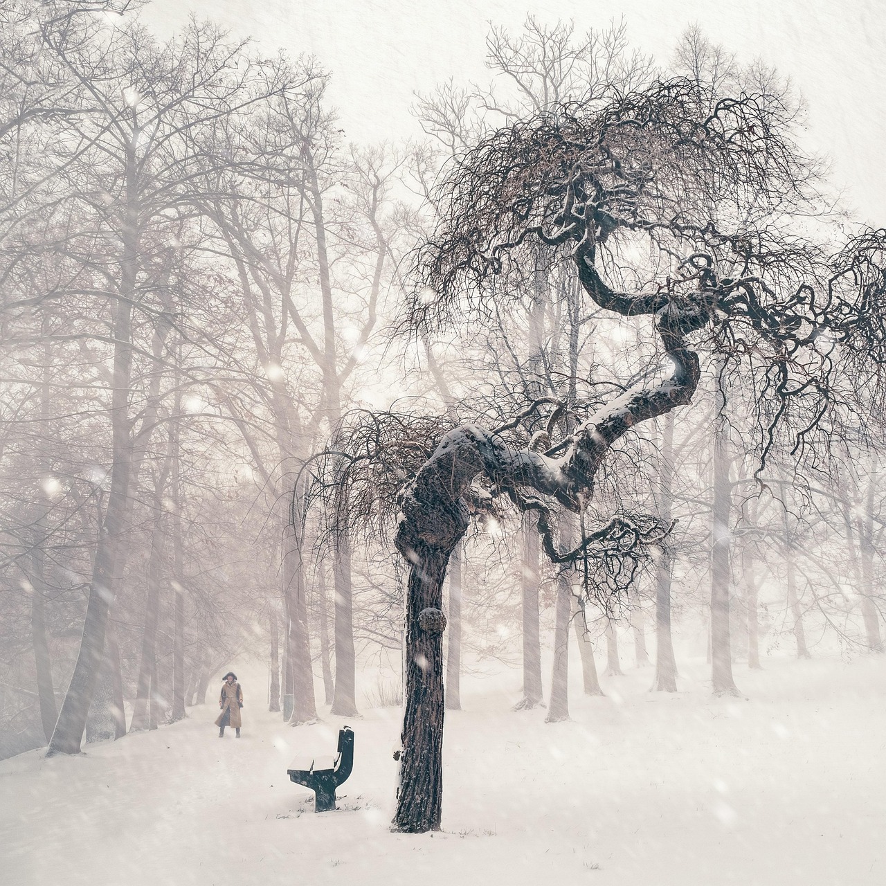 南山最新雪景，雪落人间，美不胜收的美景