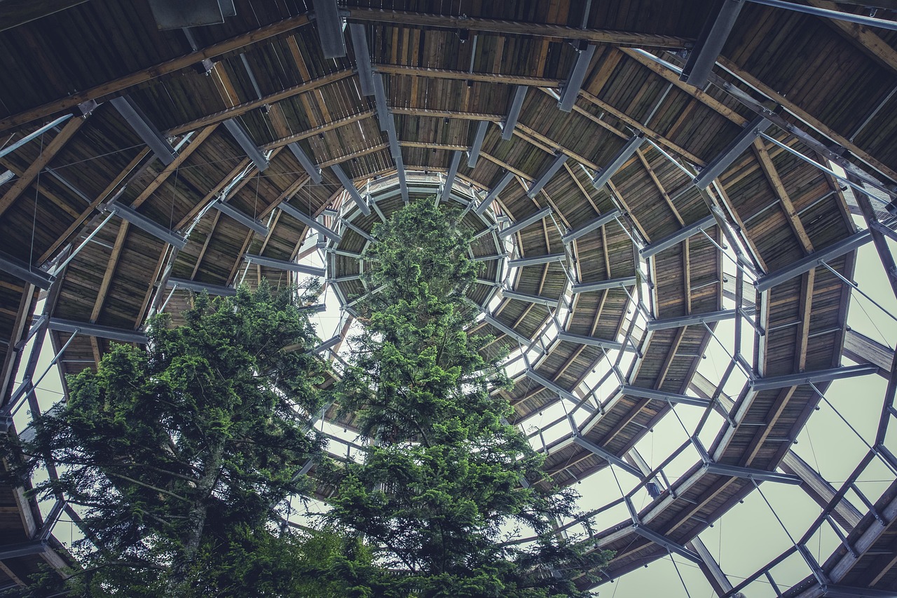 张店恒大帝景最新资讯深度解析与概览