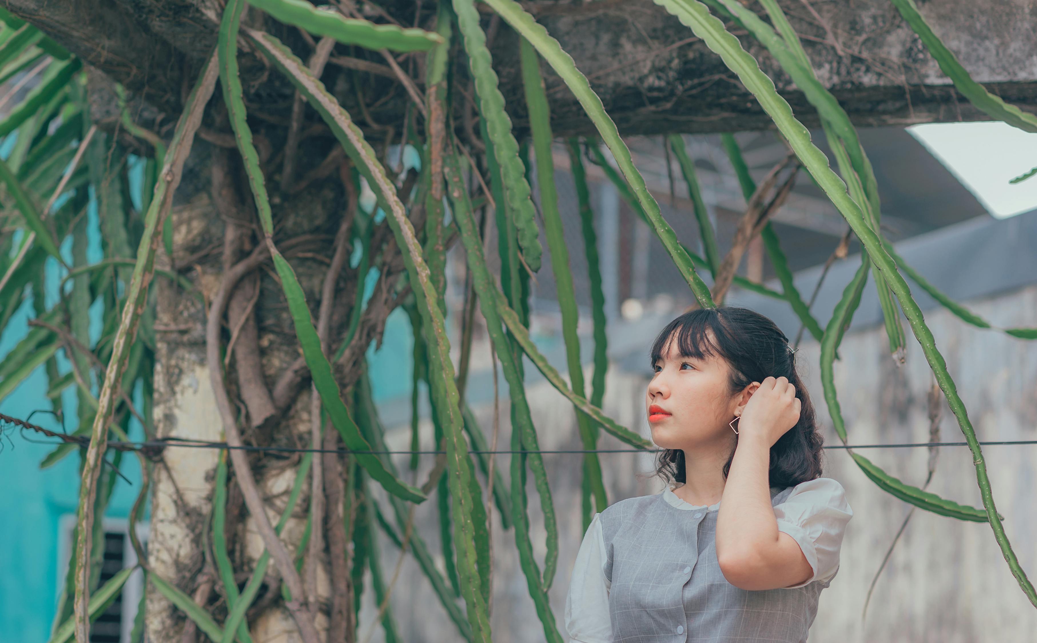 李晨与刘涛，电视剧中的耀眼之星