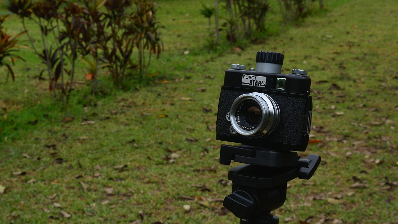 陶露露最新动态,闪耀之星持续闪耀