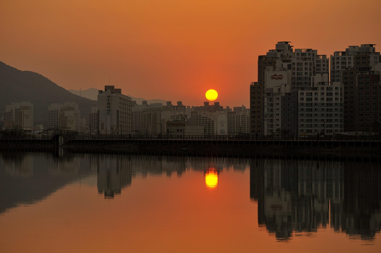简阳最新资讯概览,最新资讯一网打尽