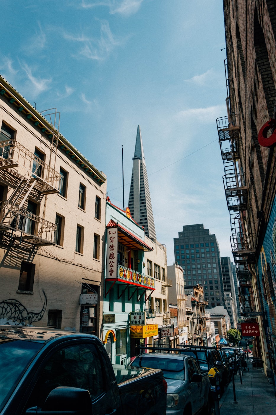 陈逸鸣多元领域探索,才华横溢之旅的最新动态