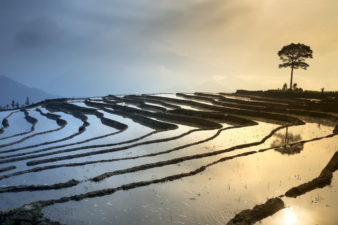 乐山最新水文信息,助力城市发展与生态保护的水情掌握