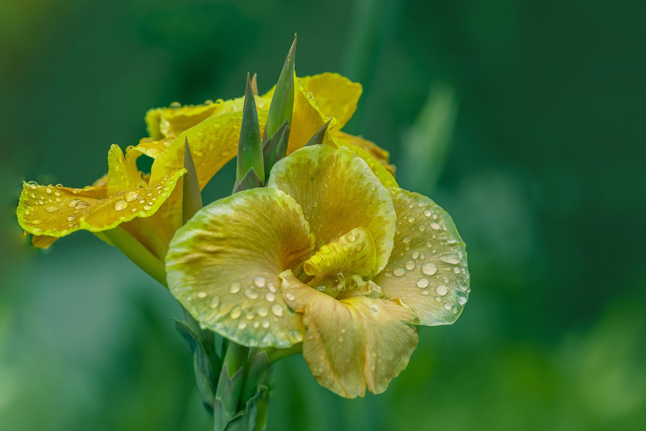 万闻华最新动态揭秘,多领域发展与创新同步推进。