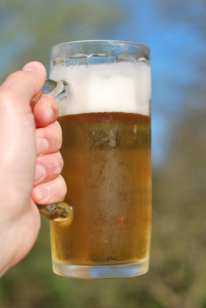 杜甫酒，历史沉淀的诗意佳酿与价格探析