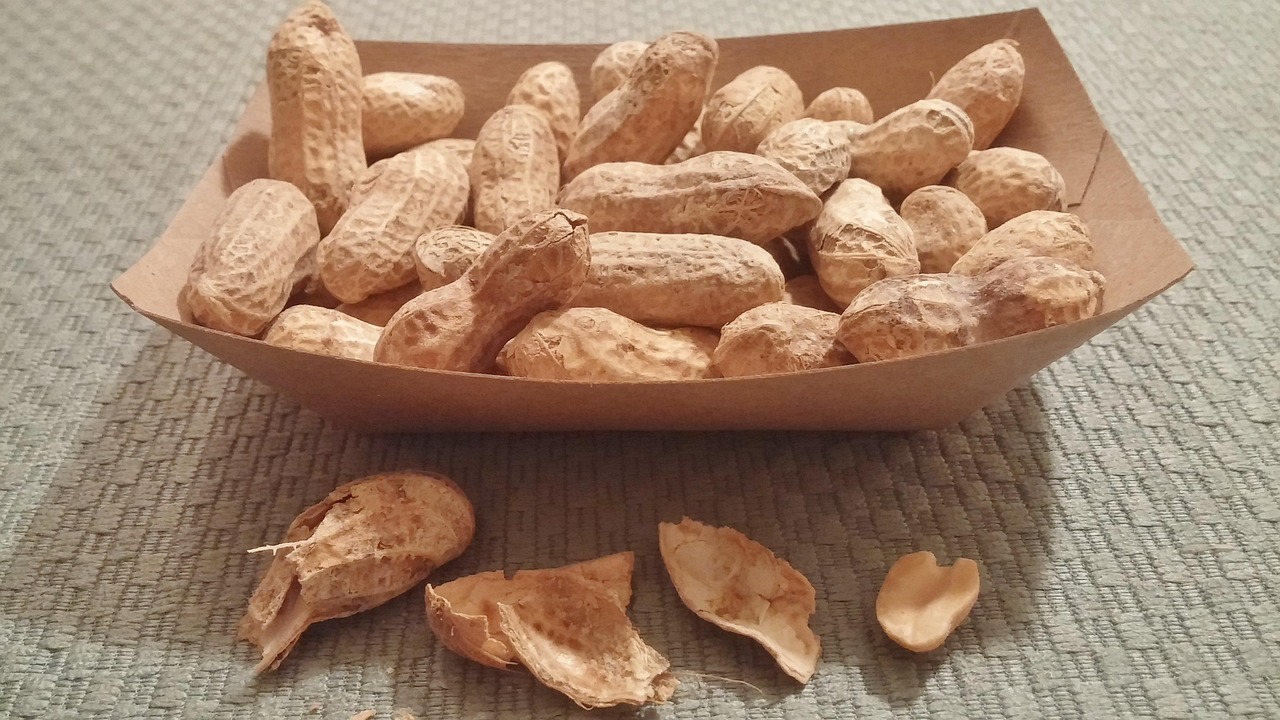 徐州土豆价格行情深度解析