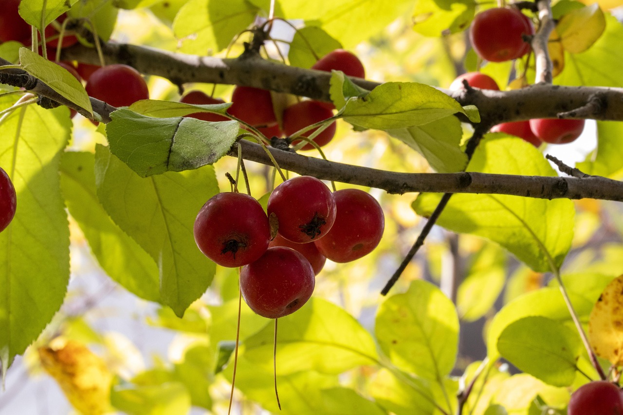 苏州雨夜广场舞,最新资讯与动态