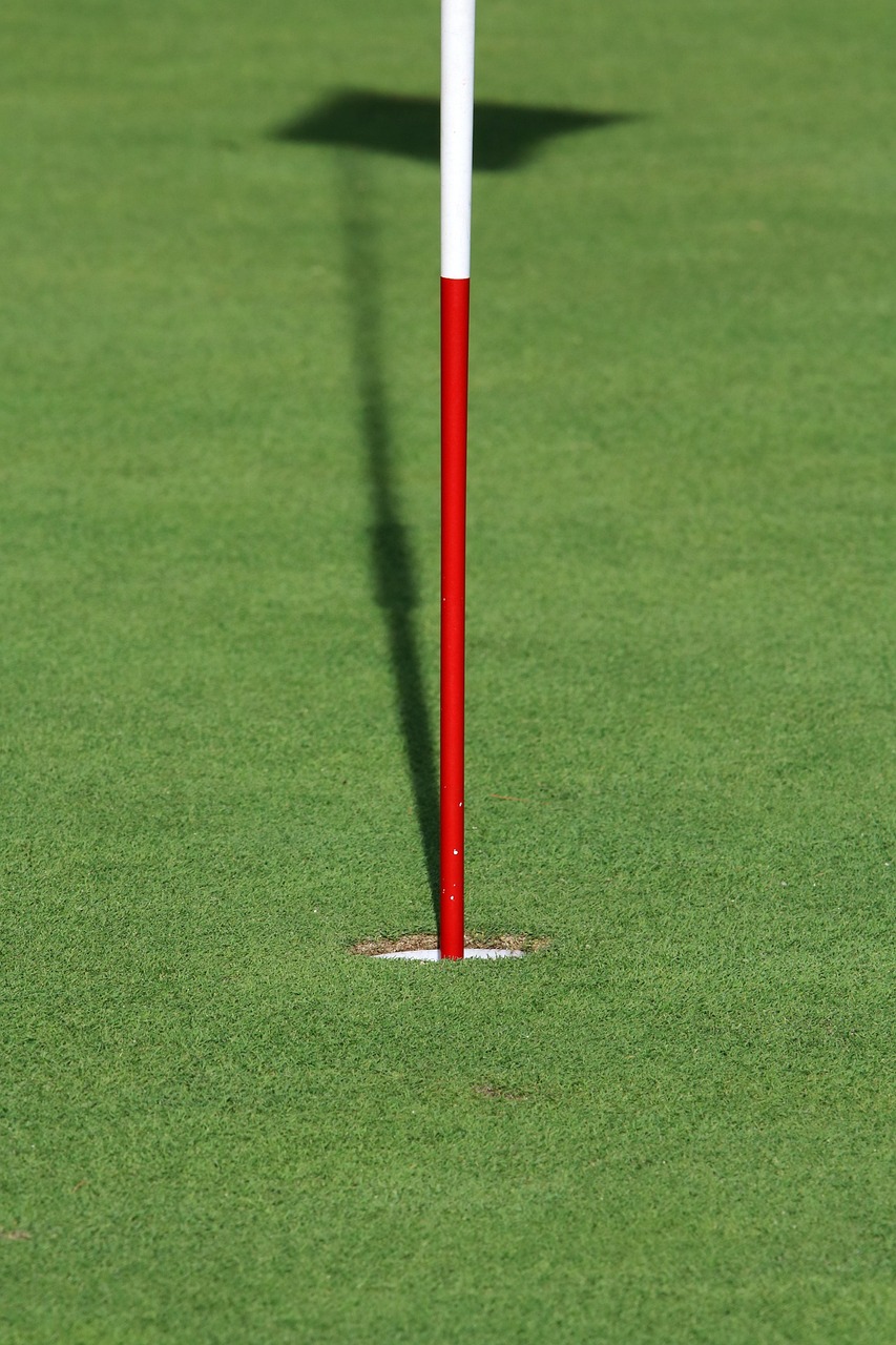 武林风热血格斗圣地探寻，比赛现场揭秘