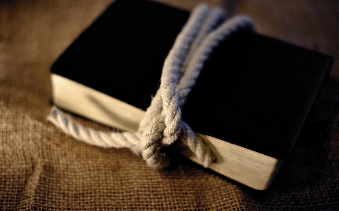 合巢经开区最新资讯概览，全方位了解开发区动态