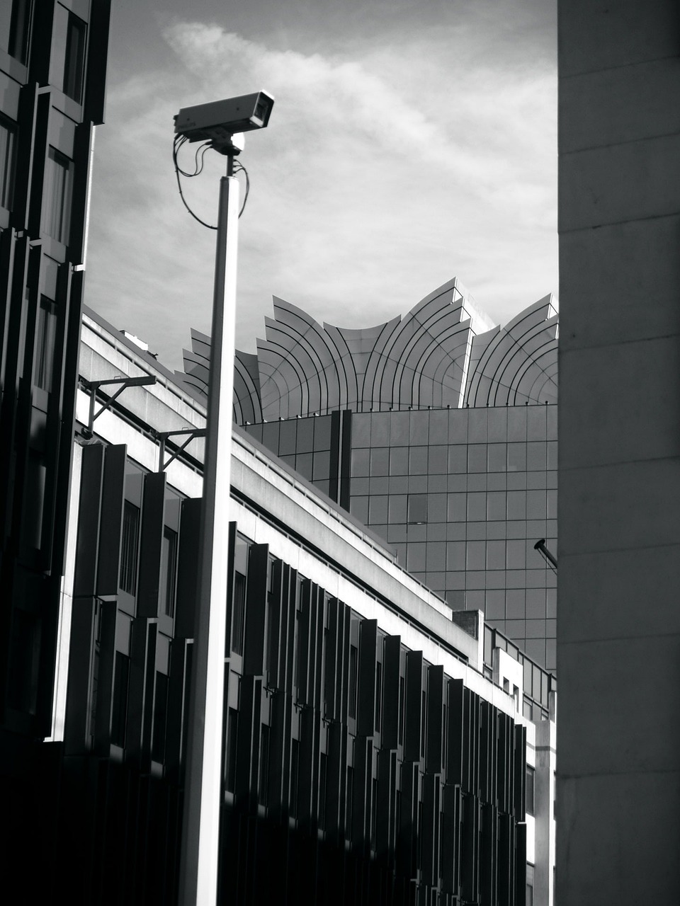 四川宜宾地震最新动态,持续监测与救援进展报告更新发布