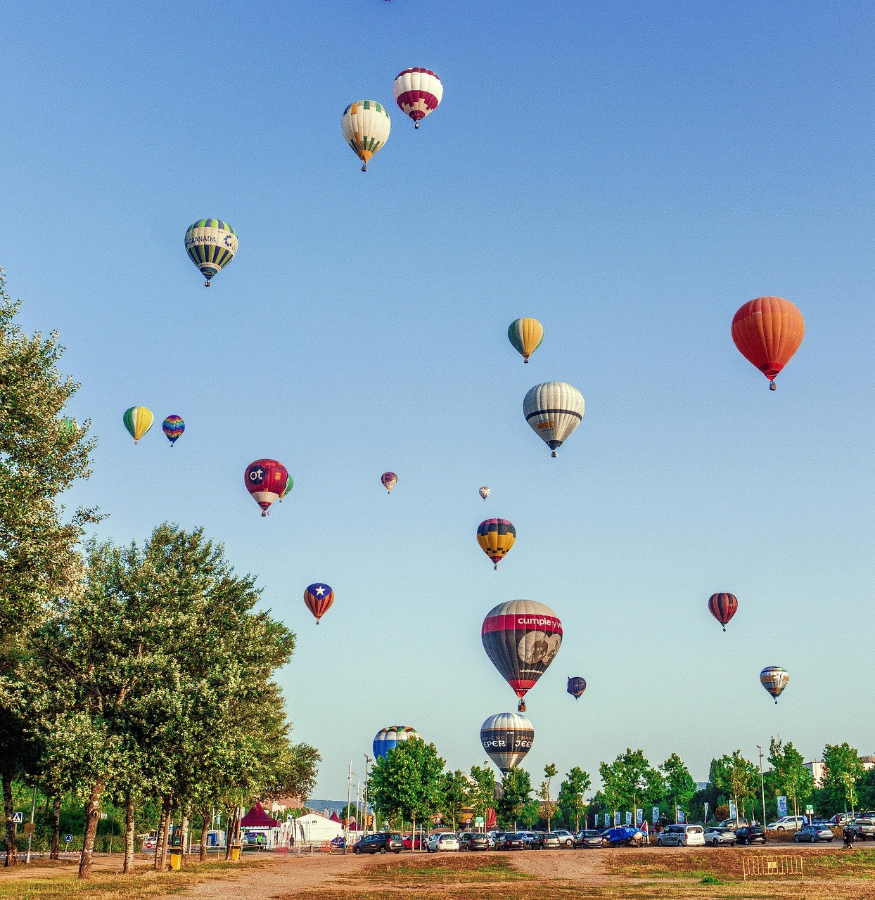 七月电影盛宴,光影交织的盛夏之梦