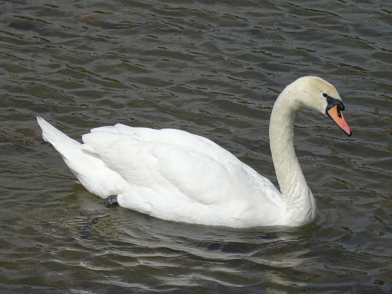 沪苏湖最新动态揭晓,蓝图初展,未来值得期待
