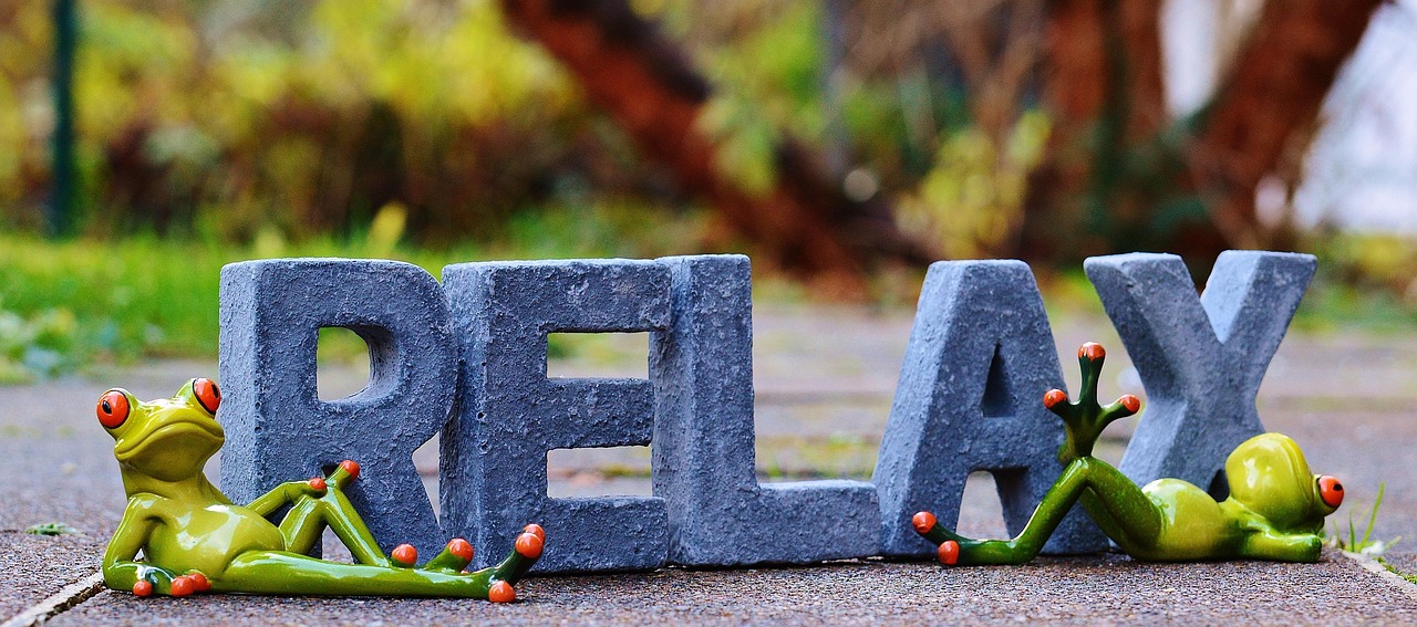 创业慧康股票行情深度解析与动态关注