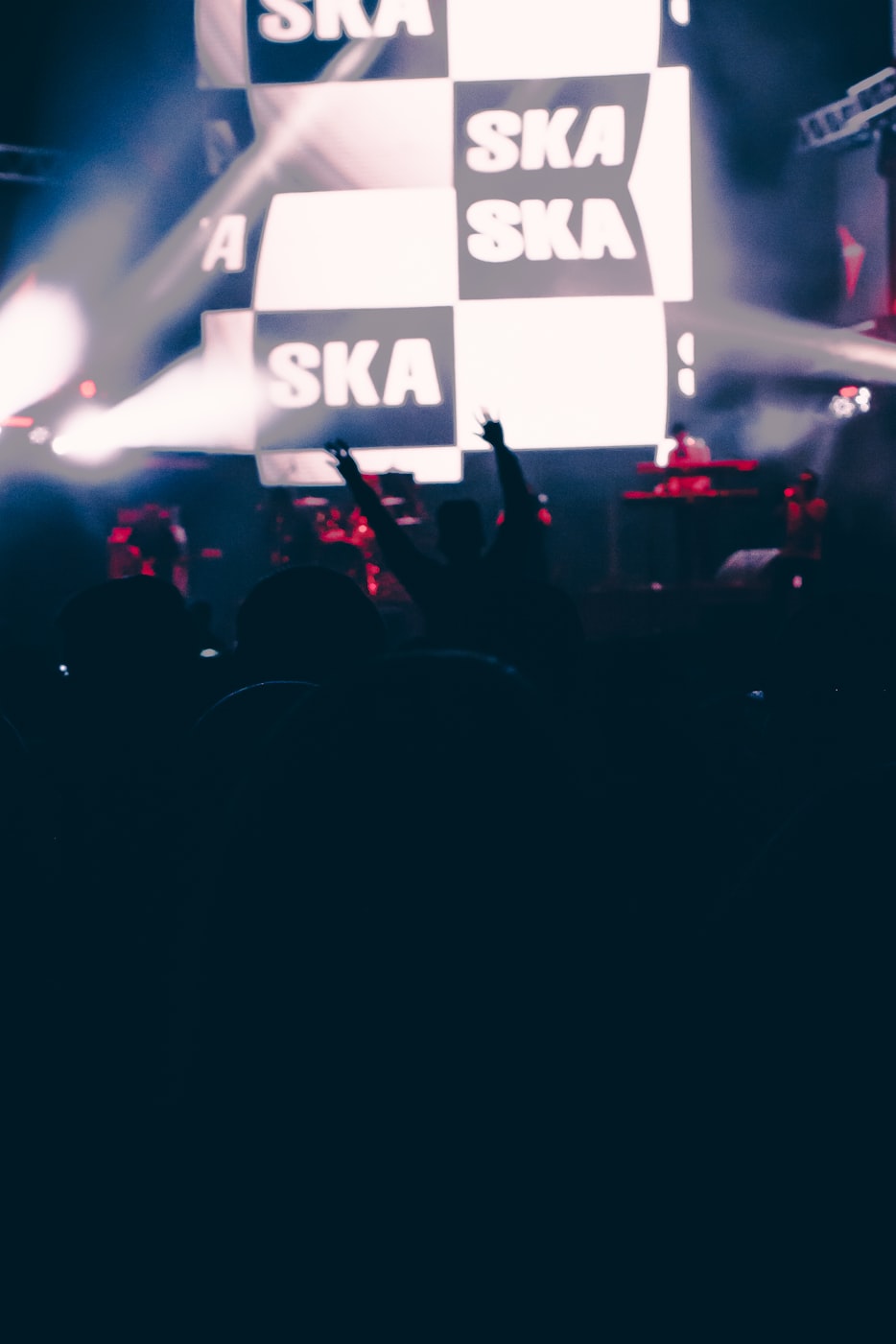 包头明星闪耀,星光照亮城市之光