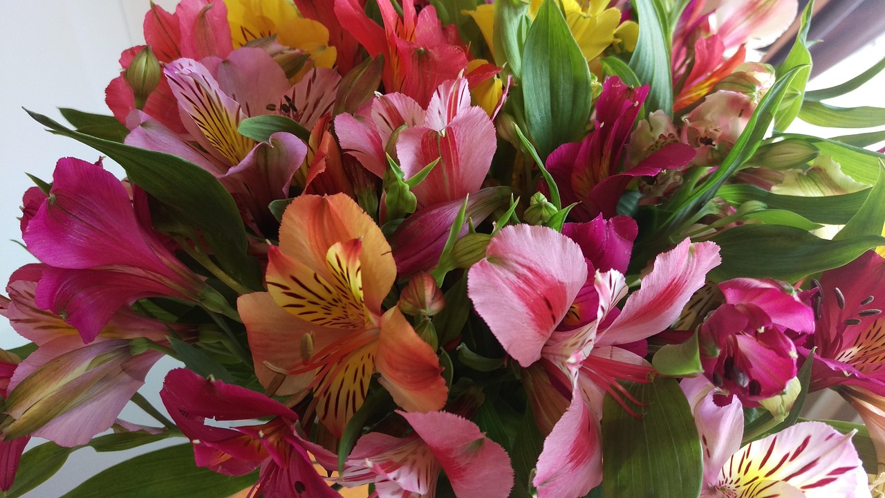 探索热门火棘的魅力与未来发展前景