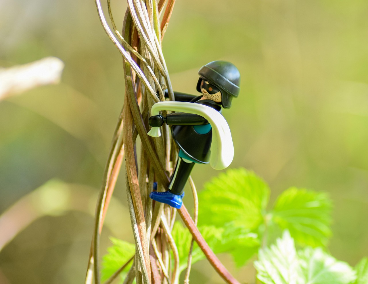 靖江最新招聘资讯概览,最新招聘动态一网打尽