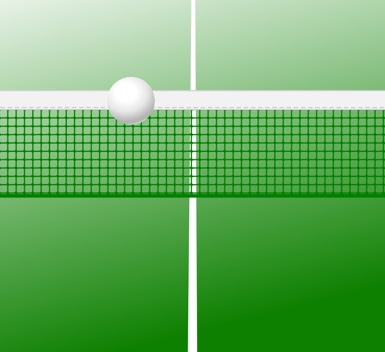 比赛乒乓球台价格及其市场分析概览