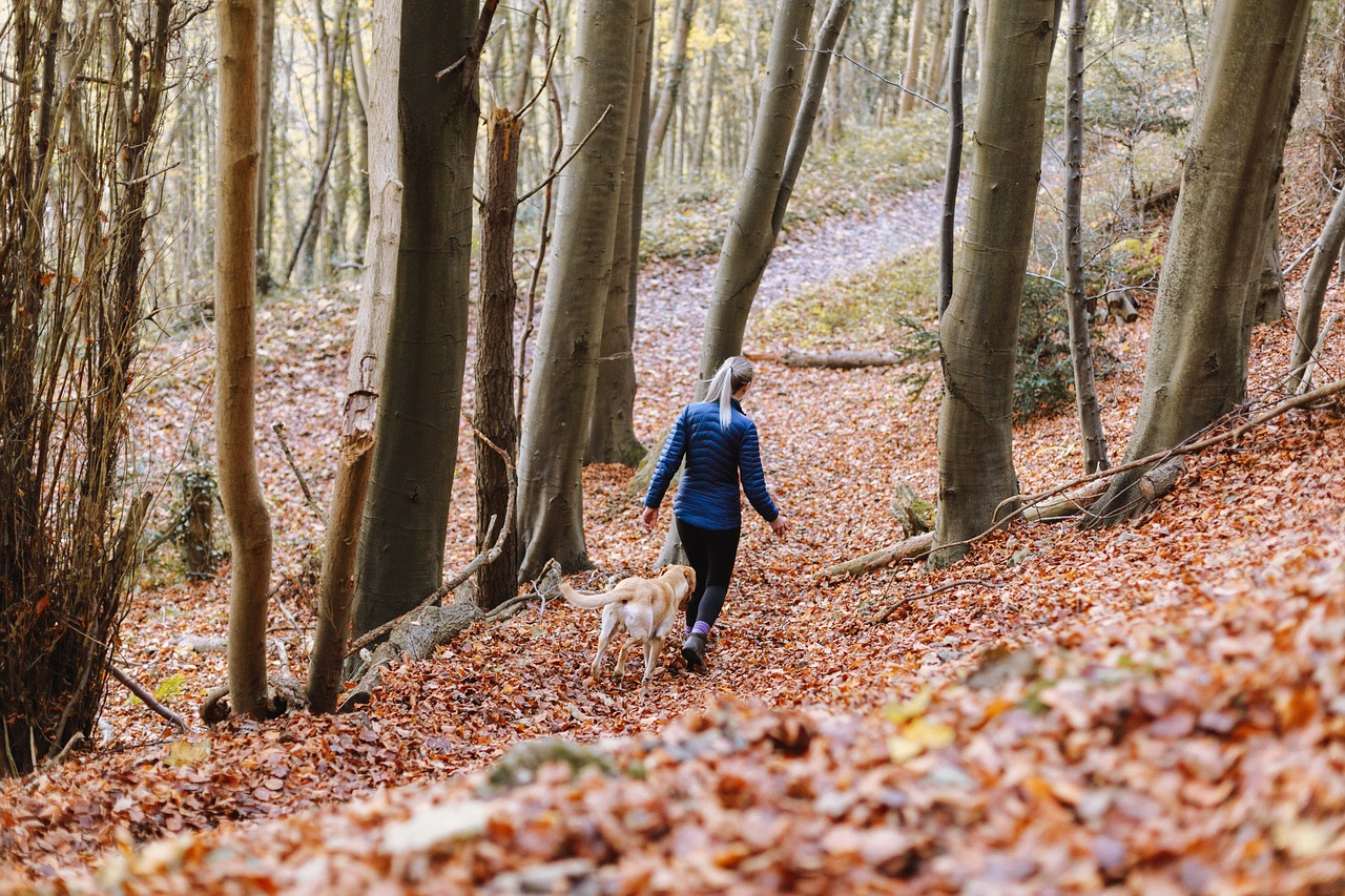 益民集团最新动态全面解读