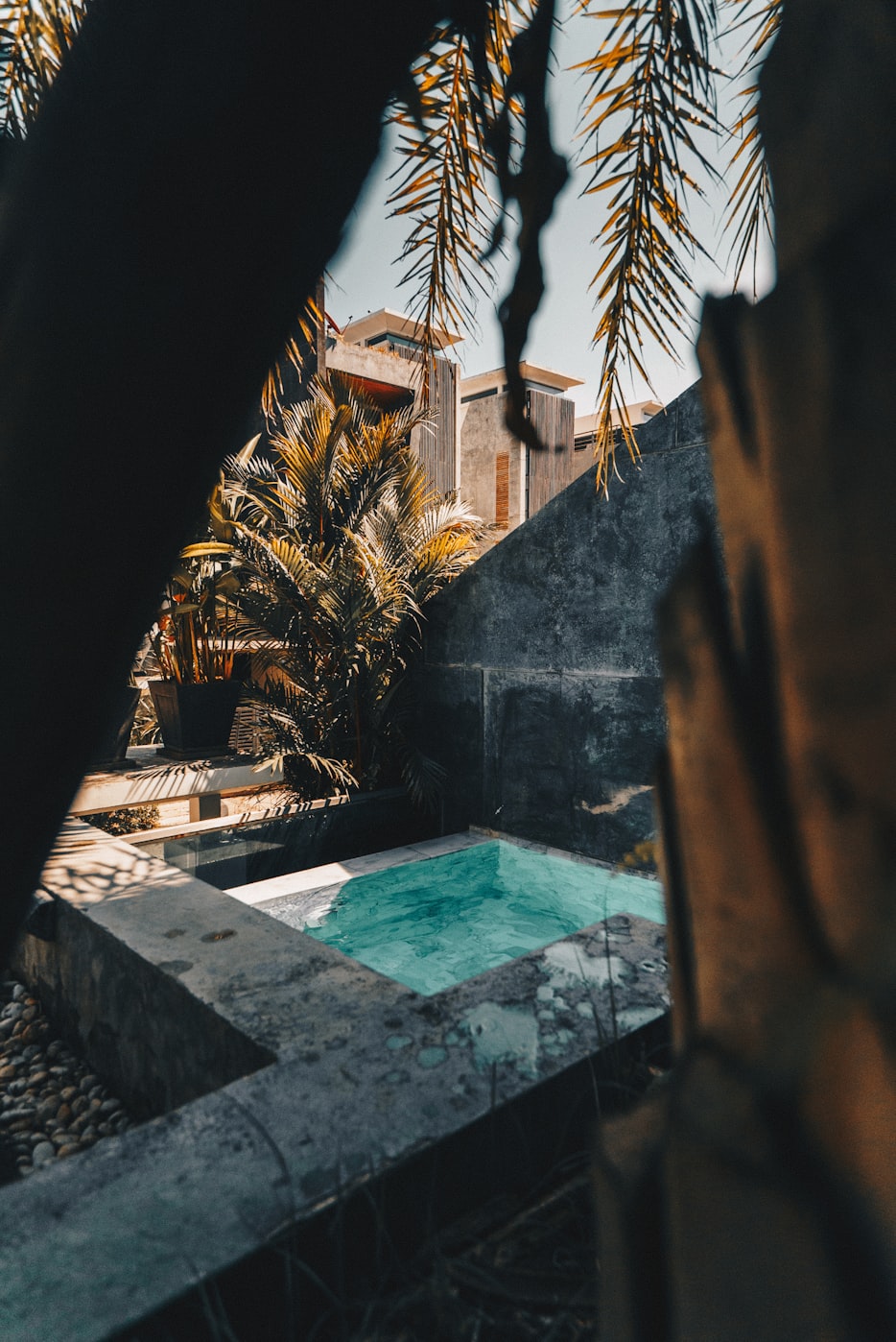 怪物军团最新版下载攻略及体验分享,下载怪物军团,开启冒险之旅!