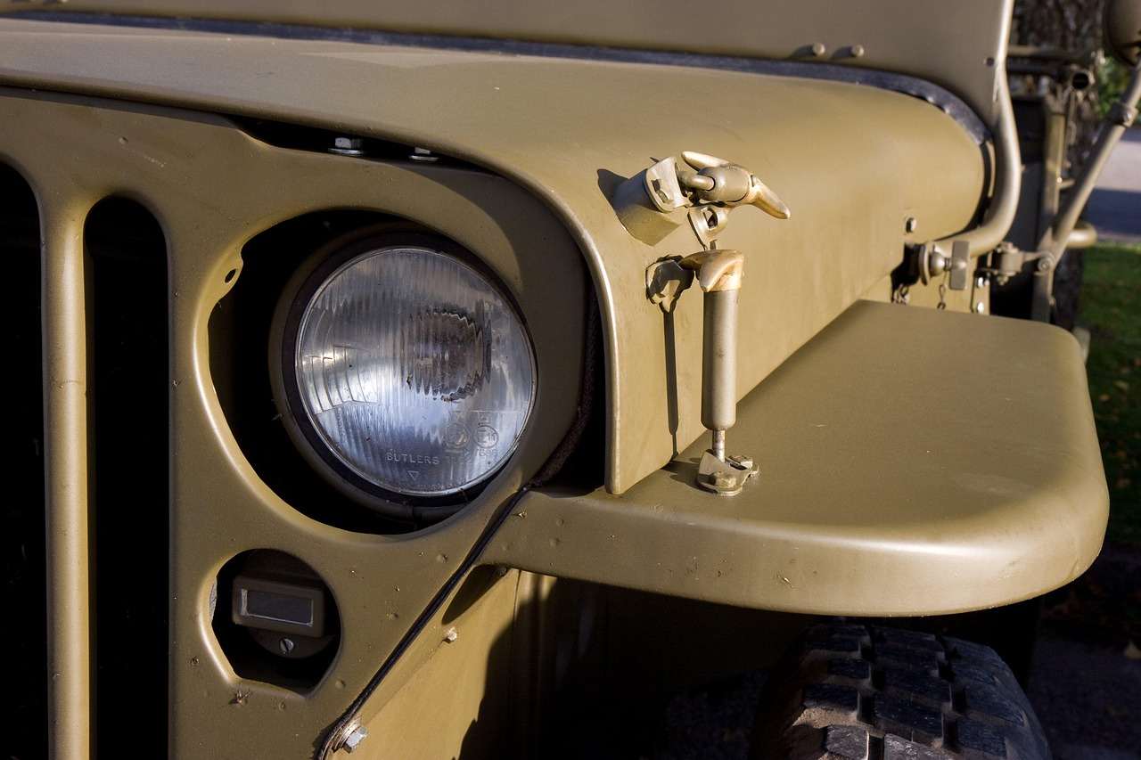 全球共同应对挑战与希望之光,最新疫情来宾动态更新