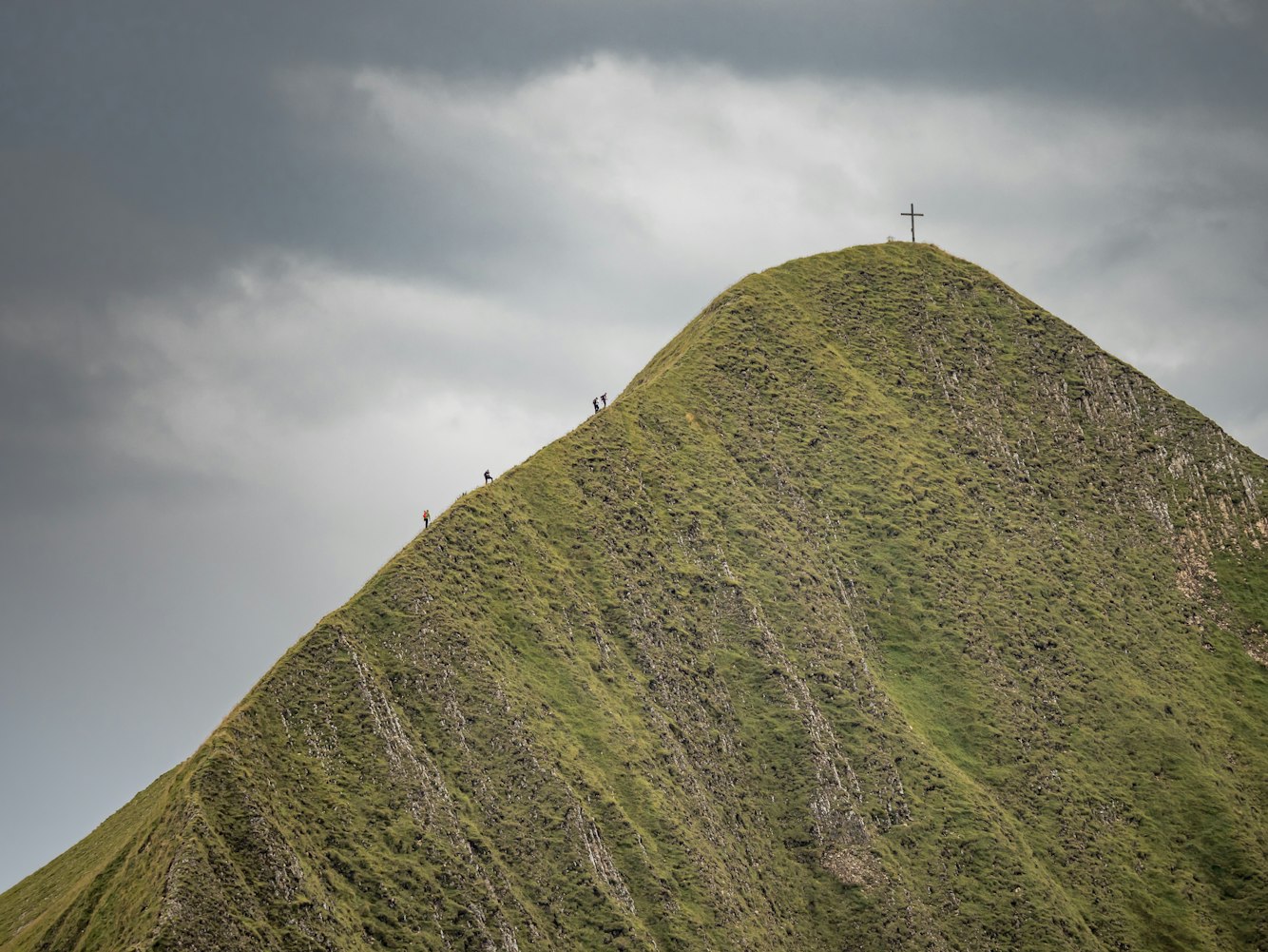 海南瑞泽最新消息概览,最新动态与资讯汇总