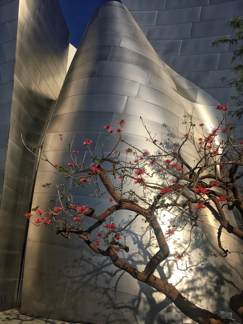 中天城最新动态,迈向未来的步伐与展望,展望未来发展新篇章