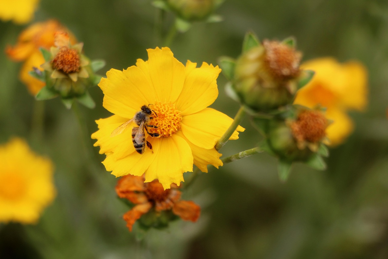 常州香溢俊园最新价格动态及解析