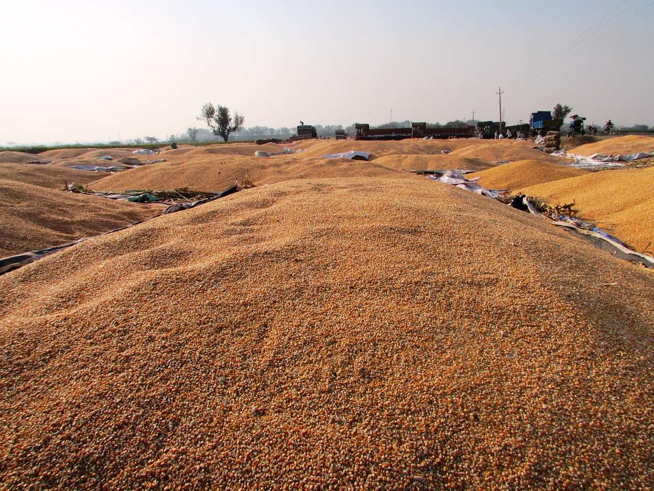 宁波土地拍卖最新动态，市场走势、前景展望与热门地块拍卖情况分析